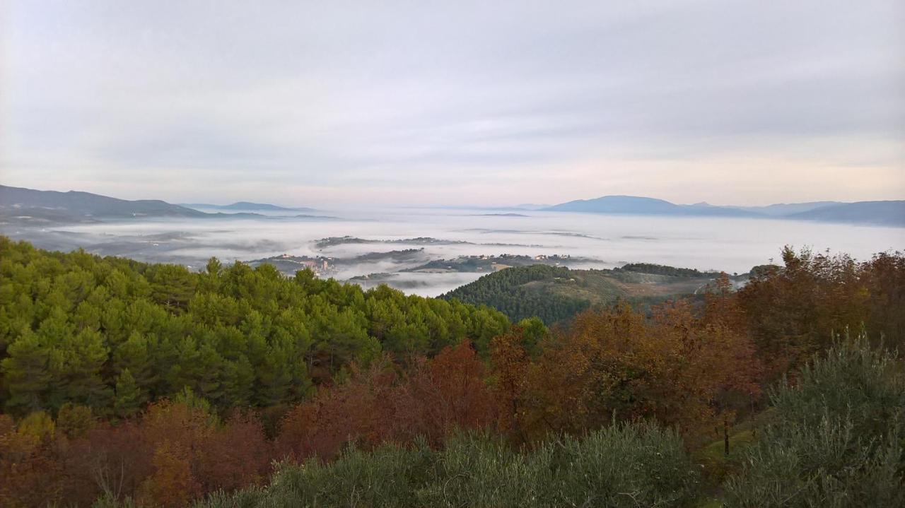 Holiday home Turistico Montelirossi Spoleto
